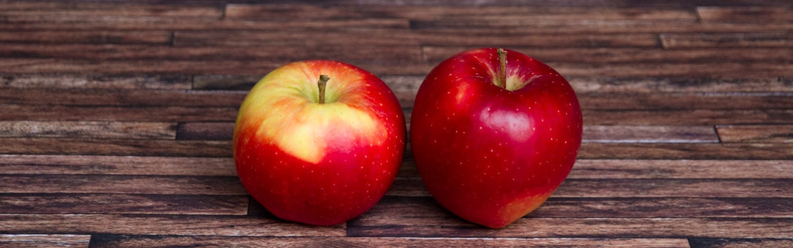 Apfelsorte Roter Grafensteiner von Elbe-Obst aus dem Alten Land
